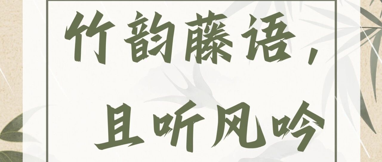 招募丨竹韵藤语 且听风吟
