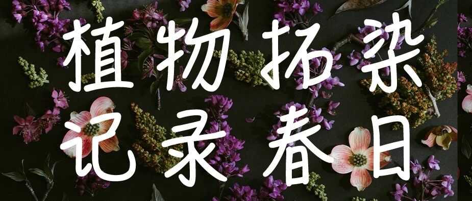 回顾｜我们留下了春日的色彩！