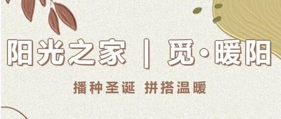 招募 | 觅·暖阳 播种圣诞 拼搭温暖