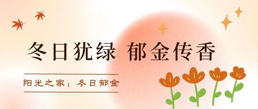 回顾 ｜ “觅 · 暖阳” 冬日犹绿 郁金传香