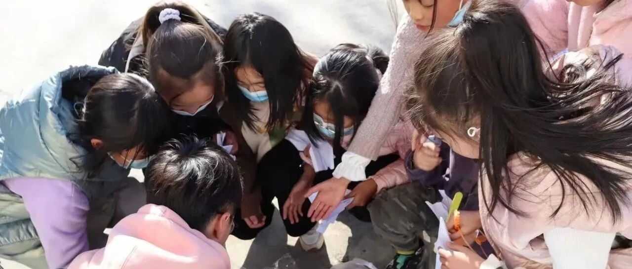 彩云之南，再续“洱缘” | 云南支教团喊你一起出发啦！